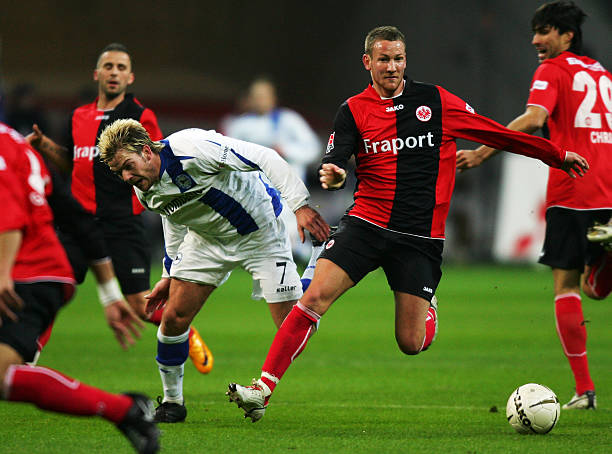 团队中不乏 团队中不乏